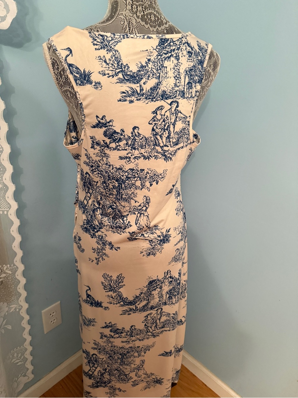 Cider Cream and Blue Toile Maxi Dress - Picture 3 of 4